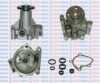 AQUAPLUS 85-5105 Water Pump